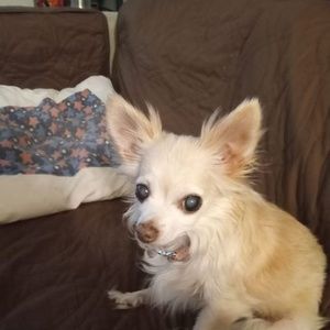 Meet your Posher, Robin